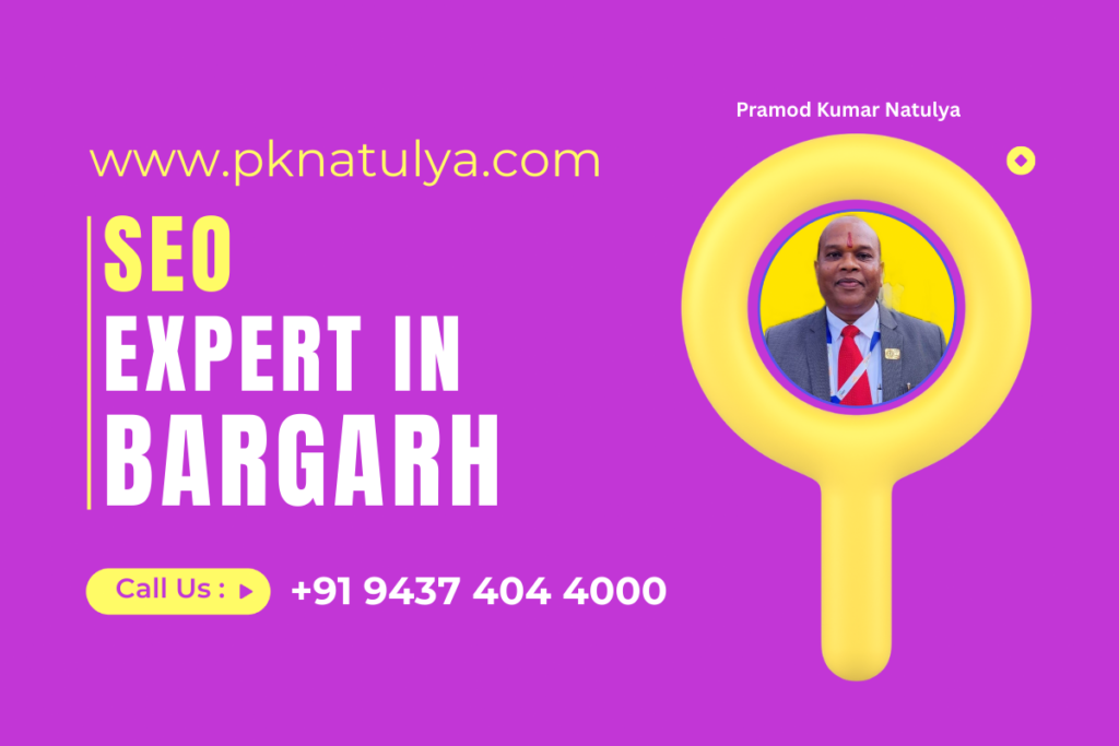 SEO Expert in BARGARH SEO Expert in BARGARH Pramod Kumar Natulya providing result-driven SEO services in Odisha