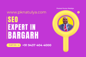 SEO Expert in BARGARH SEO Expert in BARGARH Pramod Kumar Natulya providing result-driven SEO services in Odisha