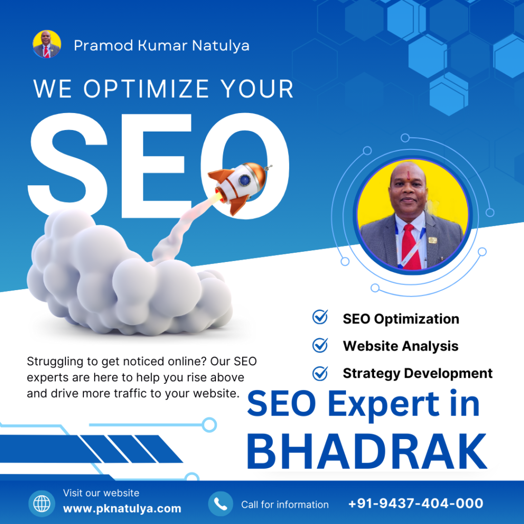 SEO Expert in Bhadrak: Odisha में Result-Driven SEO Services के लिए www.pknatulya.com क्यों है सबसे भरोसेमंद नाम SEO Expert in Bhadrak providing professional SEO services for business growth in Odisha