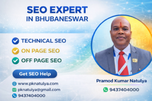 SEO Expert in Bhubaneswar – Pramod Kumar Natulya providing professional SEO services