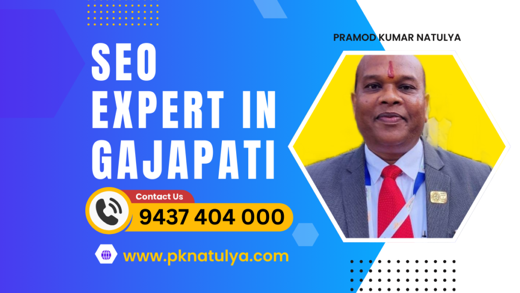 SEO Expert in GAJAPATI SEO Expert in GAJAPATI Pramod Kumar Natulya