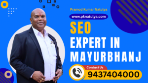 SEO Expert in MAYURBHANJ Pramod Kumar Natulya