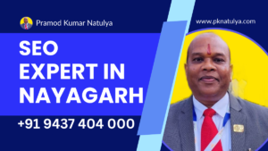SEO Expert in NAYAGARH Pramod Kumar Natulya Google Ranking Specialist
