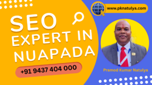 SEO Expert in NUAPADA Pramod Kumar Natulya Google Ranking Specialist