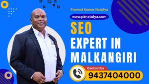 SEO Expert in MALKANGIRI Pramod Kumar Natulya